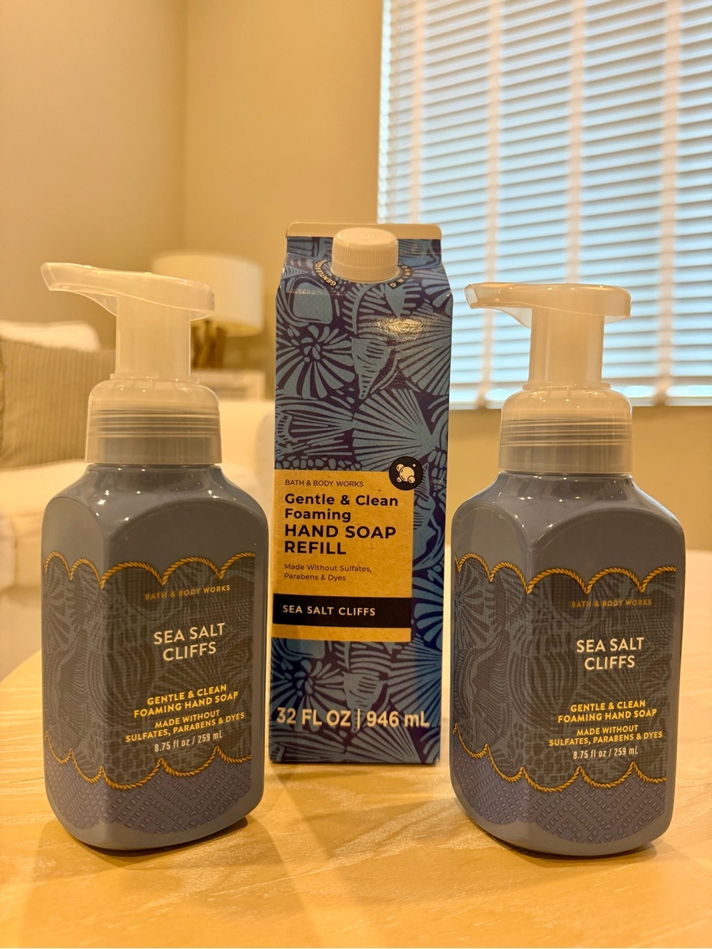 NEW Bath & Body Works Sea Salt Cliffs Foaming Hand Soap Set
